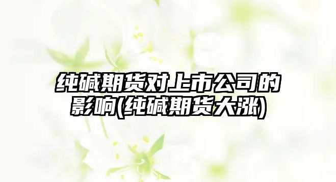 純堿期貨對上市公司的影響(純堿期貨大漲)