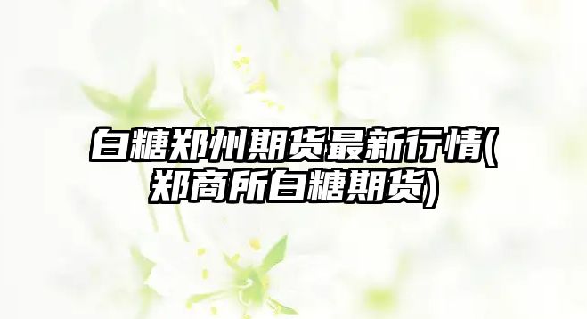 白糖鄭州期貨最新行情(鄭商所白糖期貨)