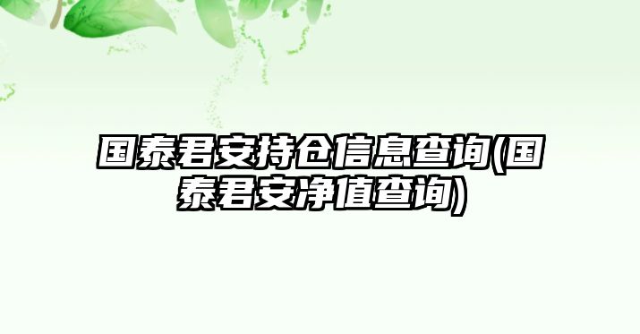 國泰君安持倉信息查詢(xún)(國泰君安凈值查詢(xún))