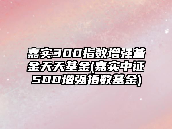 嘉實(shí)300指數增強基金天天基金(嘉實(shí)中證500增強指數基金)