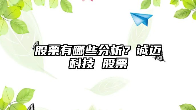 股票有哪些分析？誠邁科技 股票