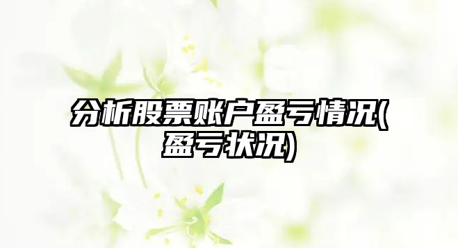 分析股票賬戶(hù)盈虧情況(盈虧狀況)