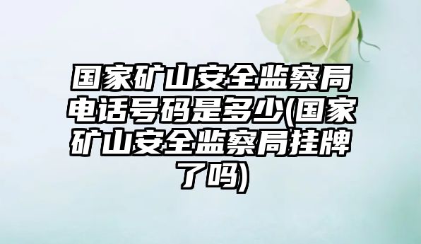 國家礦山安全監察局電話(huà)號碼是多少(國家礦山安全監察局掛牌了嗎)