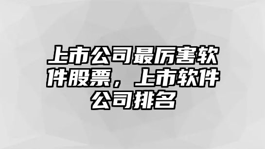 上市公司最厲害軟件股票，上市軟件公司排名