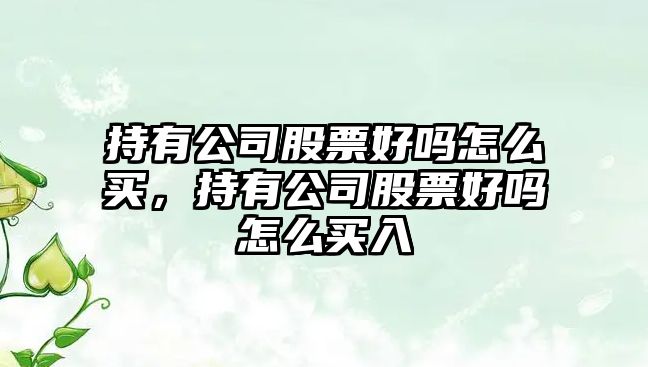 持有公司股票好嗎怎么買(mǎi)，持有公司股票好嗎怎么買(mǎi)入