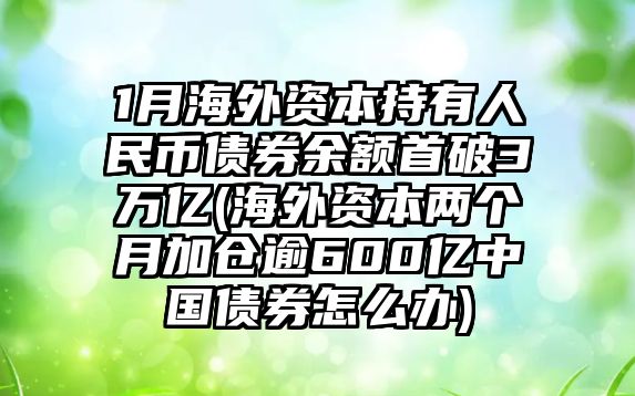 1月海外資本持有人民幣債券余額首破3萬(wàn)億(海外資本兩個(gè)月加倉逾600億中國債券怎么辦)