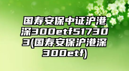 國壽安保中證滬港深300etf517303(國壽安保滬港深300etf)