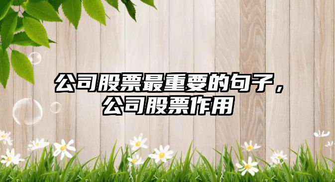 公司股票最重要的句子，公司股票作用