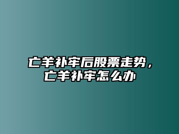 亡羊補牢后股票走勢，亡羊補牢怎么辦