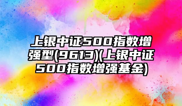 上銀中證500指數增強型(9613)(上銀中證500指數增強基金)