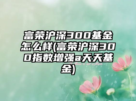 富榮滬深300基金怎么樣(富榮滬深300指數增強a天天基金)