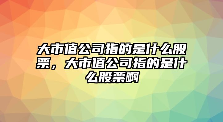 大市值公司指的是什么股票，大市值公司指的是什么股票啊