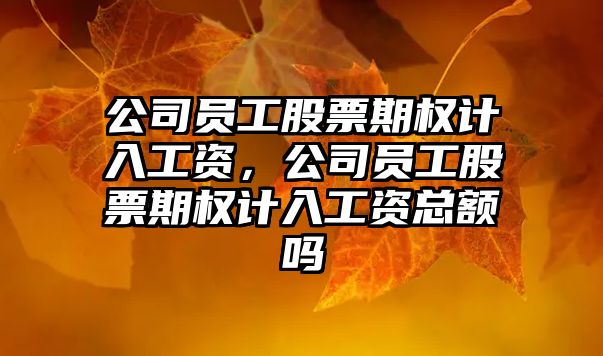 公司員工股票期權計入工資，公司員工股票期權計入工資總額嗎