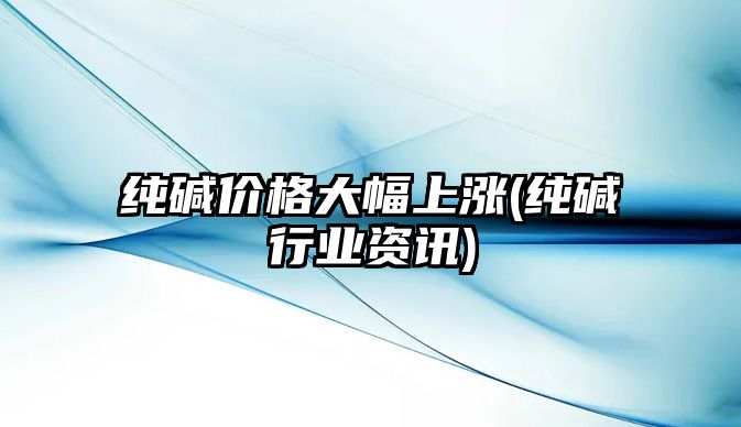 純堿價(jià)格大幅上漲(純堿行業(yè)資訊)