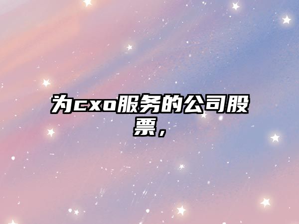 為cxo服務(wù)的公司股票，