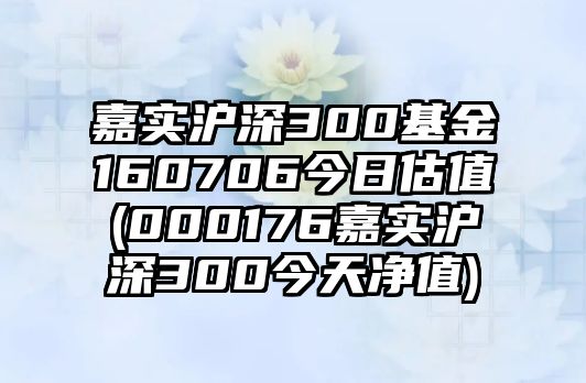 嘉實(shí)滬深300基金160706今日估值(000176嘉實(shí)滬深300今天凈值)