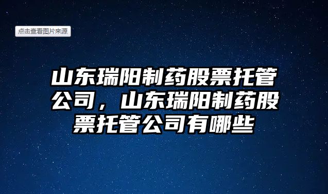 山東瑞陽(yáng)制藥股票托管公司，山東瑞陽(yáng)制藥股票托管公司有哪些