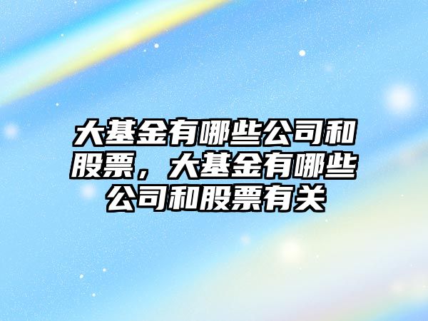 大基金有哪些公司和股票，大基金有哪些公司和股票有關(guān)