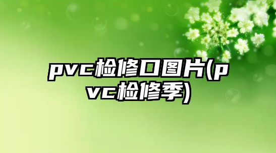 pvc檢修口圖片(pvc檢修季)