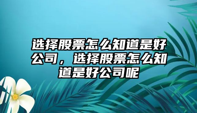 選擇股票怎么知道是好公司，選擇股票怎么知道是好公司呢