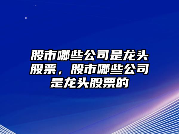 股市哪些公司是龍頭股票，股市哪些公司是龍頭股票的