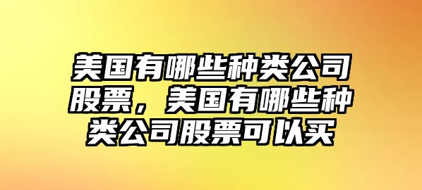 美國有哪些種類(lèi)公司股票，美國有哪些種類(lèi)公司股票可以買(mǎi)