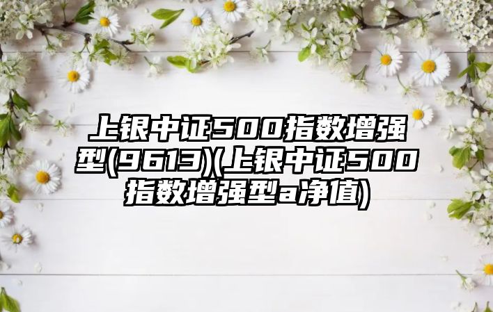 上銀中證500指數增強型(9613)(上銀中證500指數增強型a凈值)