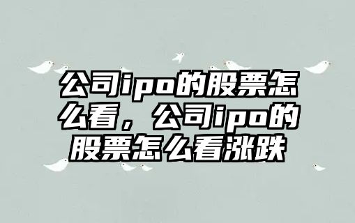 公司ipo的股票怎么看，公司ipo的股票怎么看漲跌