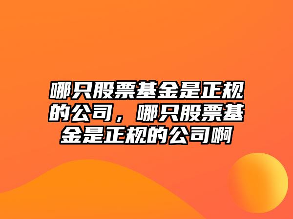 哪只股票基金是正規的公司，哪只股票基金是正規的公司啊