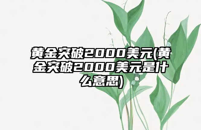 黃金突破2000美元(黃金突破2000美元是什么意思)