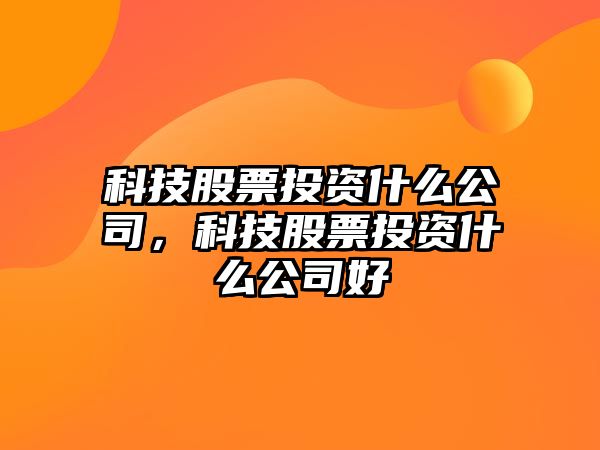 科技股票投資什么公司，科技股票投資什么公司好