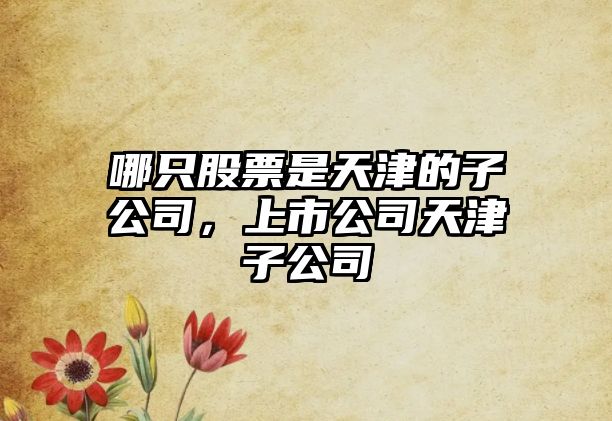 哪只股票是天津的子公司，上市公司天津子公司