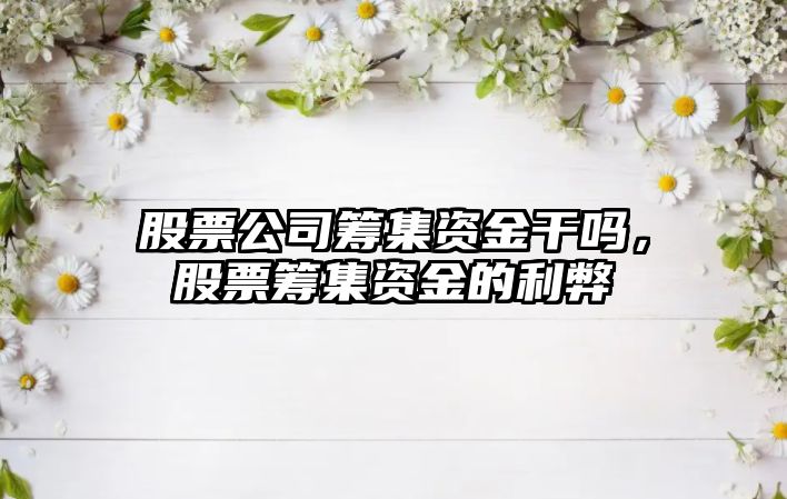 股票公司籌集資金干嗎，股票籌集資金的利弊