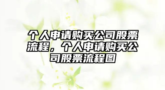 個(gè)人申請購買(mǎi)公司股票流程，個(gè)人申請購買(mǎi)公司股票流程圖