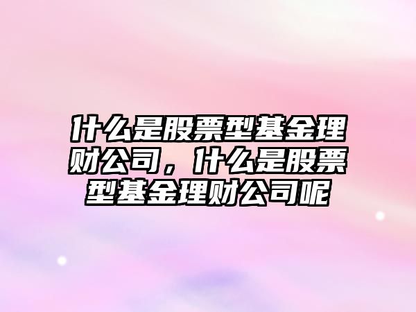 什么是股票型基金理財公司，什么是股票型基金理財公司呢