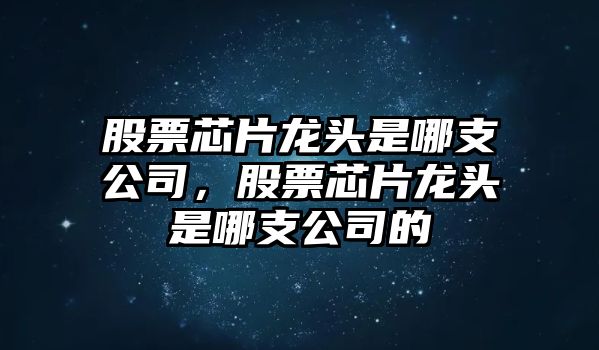 股票芯片龍頭是哪支公司，股票芯片龍頭是哪支公司的