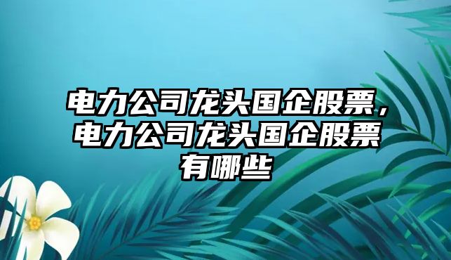 電力公司龍頭國企股票，電力公司龍頭國企股票有哪些