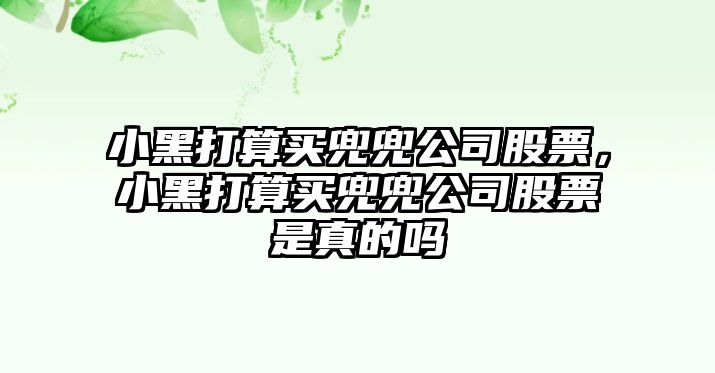 小黑打算買(mǎi)兜兜公司股票，小黑打算買(mǎi)兜兜公司股票是真的嗎