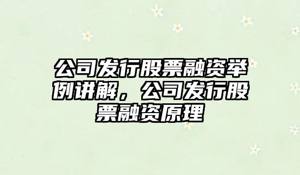 公司發(fā)行股票融資舉例講解，公司發(fā)行股票融資原理