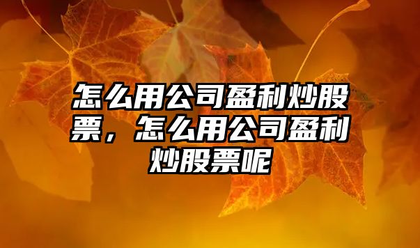 怎么用公司盈利炒股票，怎么用公司盈利炒股票呢