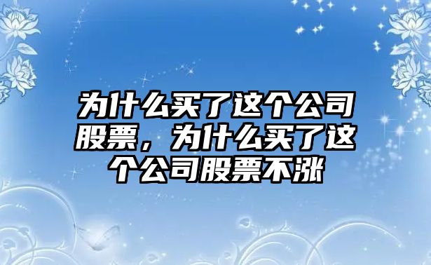 為什么買(mǎi)了這個(gè)公司股票，為什么買(mǎi)了這個(gè)公司股票不漲