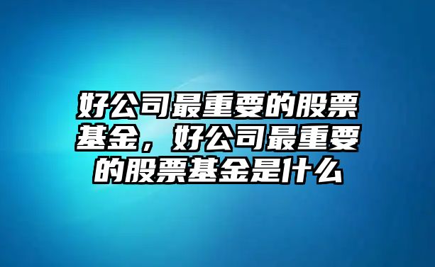 好公司最重要的股票基金，好公司最重要的股票基金是什么