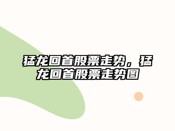 猛龍回首股票走勢，猛龍回首股票走勢圖