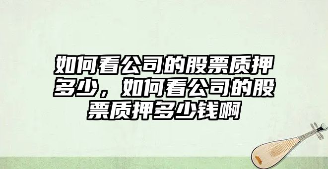 如何看公司的股票質(zhì)押多少，如何看公司的股票質(zhì)押多少錢(qián)啊