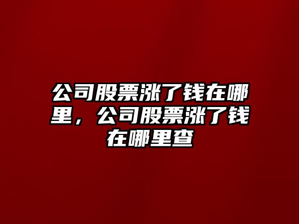 公司股票漲了錢(qián)在哪里，公司股票漲了錢(qián)在哪里查