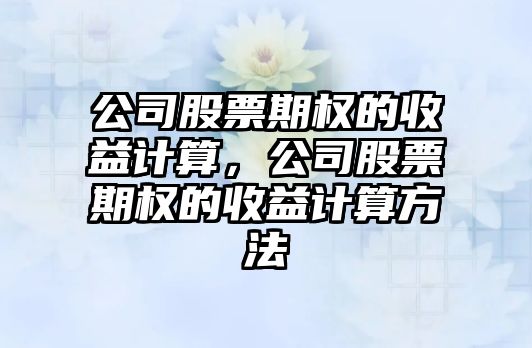 公司股票期權的收益計算，公司股票期權的收益計算方法