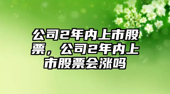 公司2年內上市股票，公司2年內上市股票會(huì )漲嗎