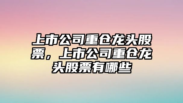 上市公司重倉龍頭股票，上市公司重倉龍頭股票有哪些