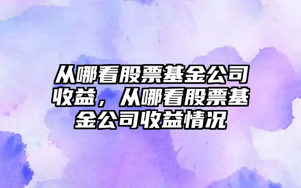 從哪看股票基金公司收益，從哪看股票基金公司收益情況