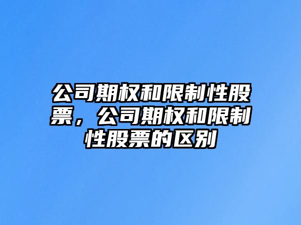 公司期權和限制性股票，公司期權和限制性股票的區別